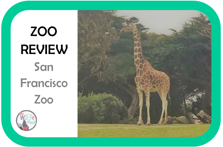ZOO REVIEW 3- San Francisco Zoo