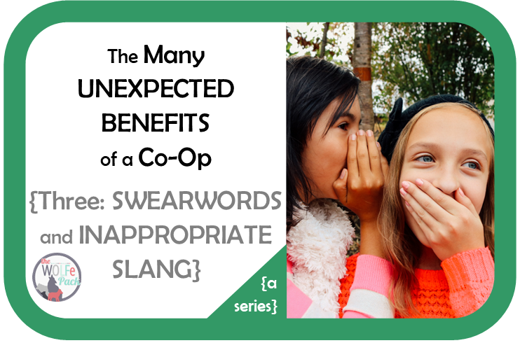 SWEARWORDS and SLANG: 1 of the Many Unexpected Benefits of a Homeschool Co-Op