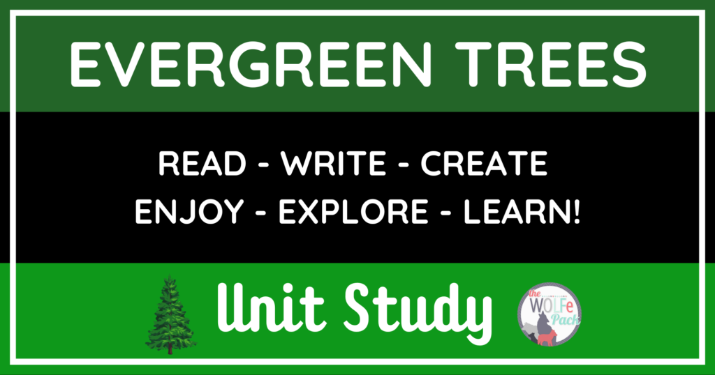 evergreen trees unit study