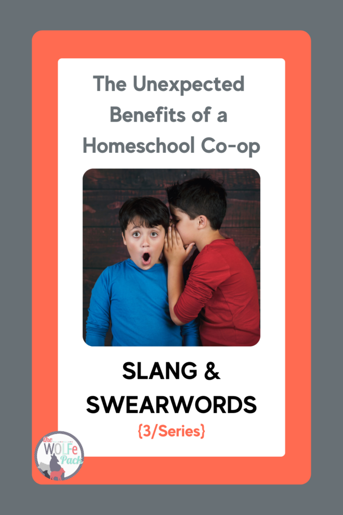 SWEARWORDS and SLANG: 1 of the Many Unexpected Benefits of a Homeschool Co-Op